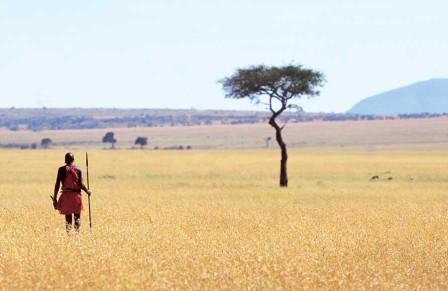 MasaiMara